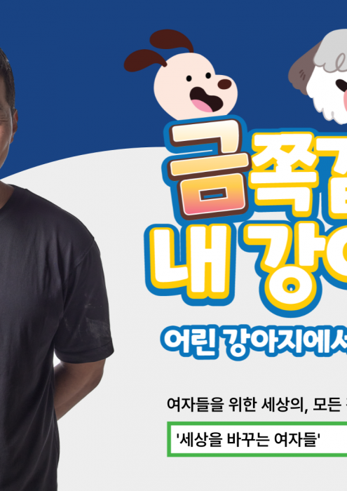 개통령 강형욱의 <댕쪽이 행복솔루션>